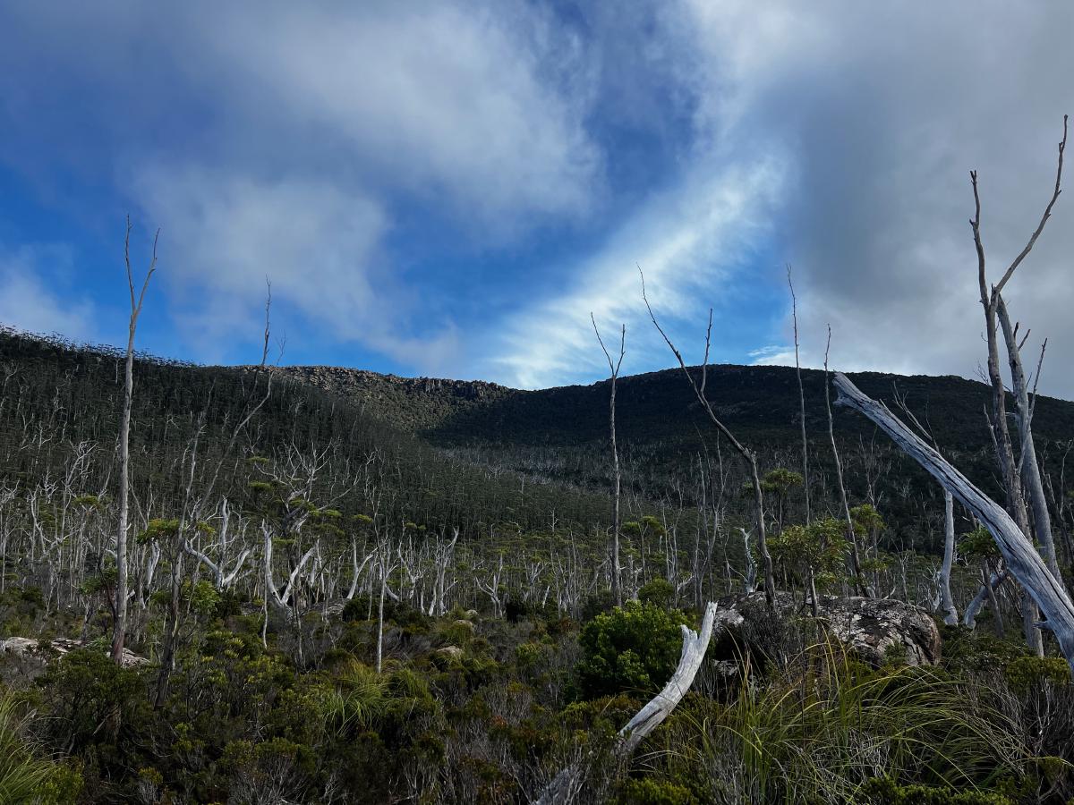 Some expansive views are a nice change after the previous hilly forest walk