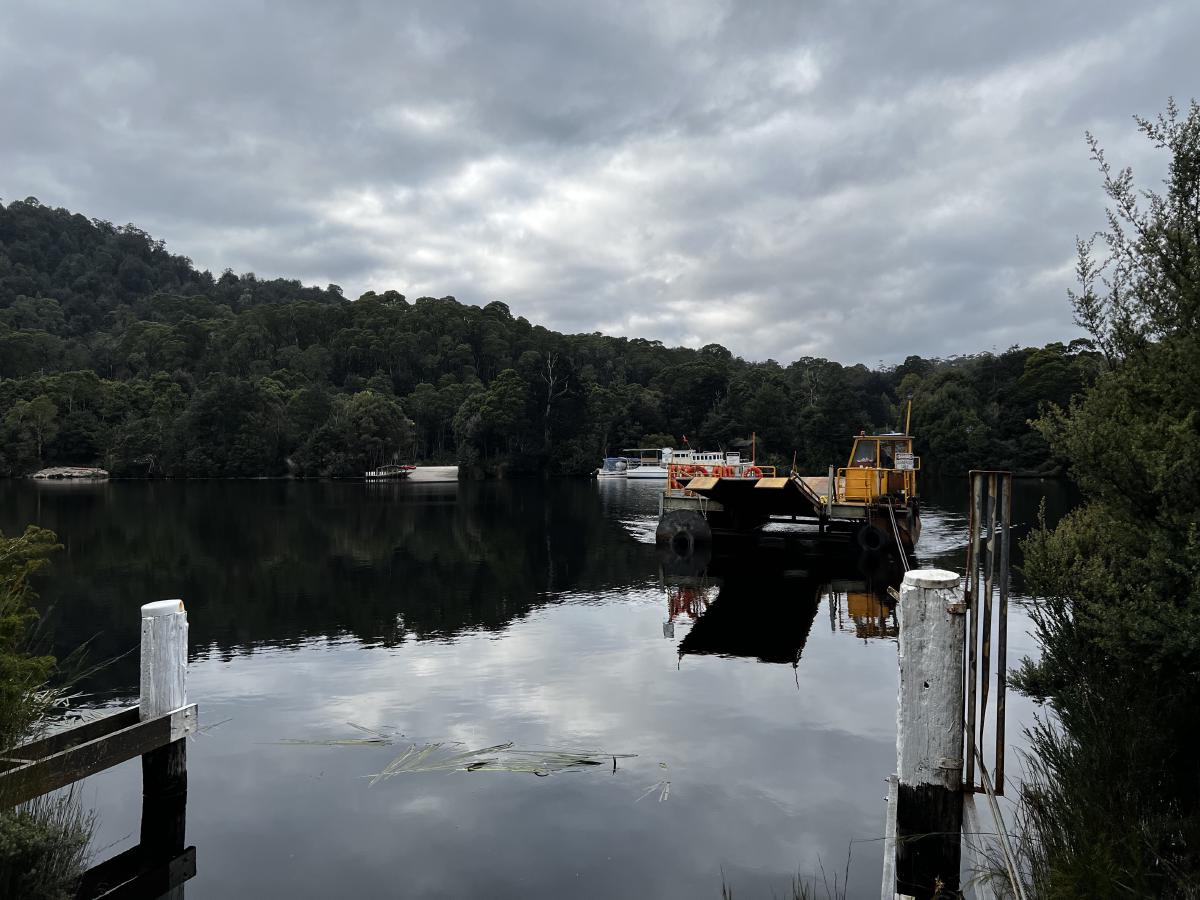 A barge travels across the Pieman River