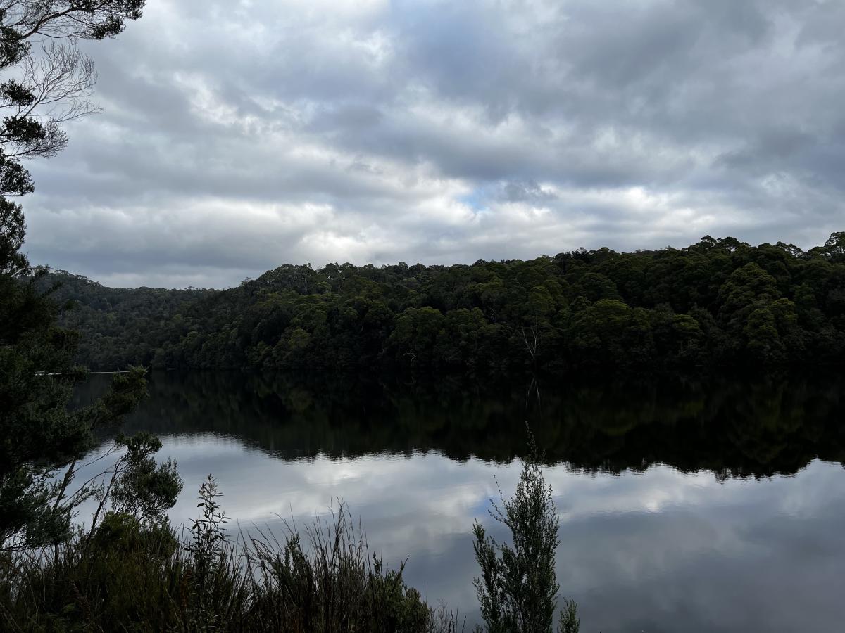 The Pieman River