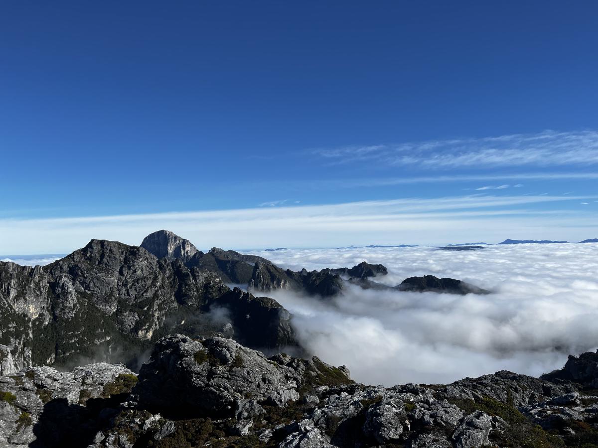 Frenchman’s Cap above the cloud
