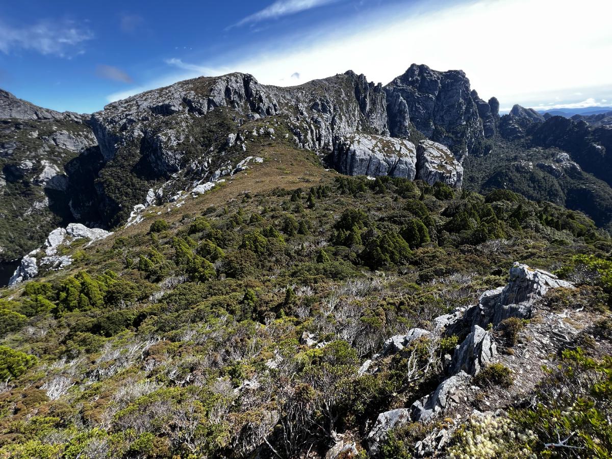 Scrubby section on the ridge