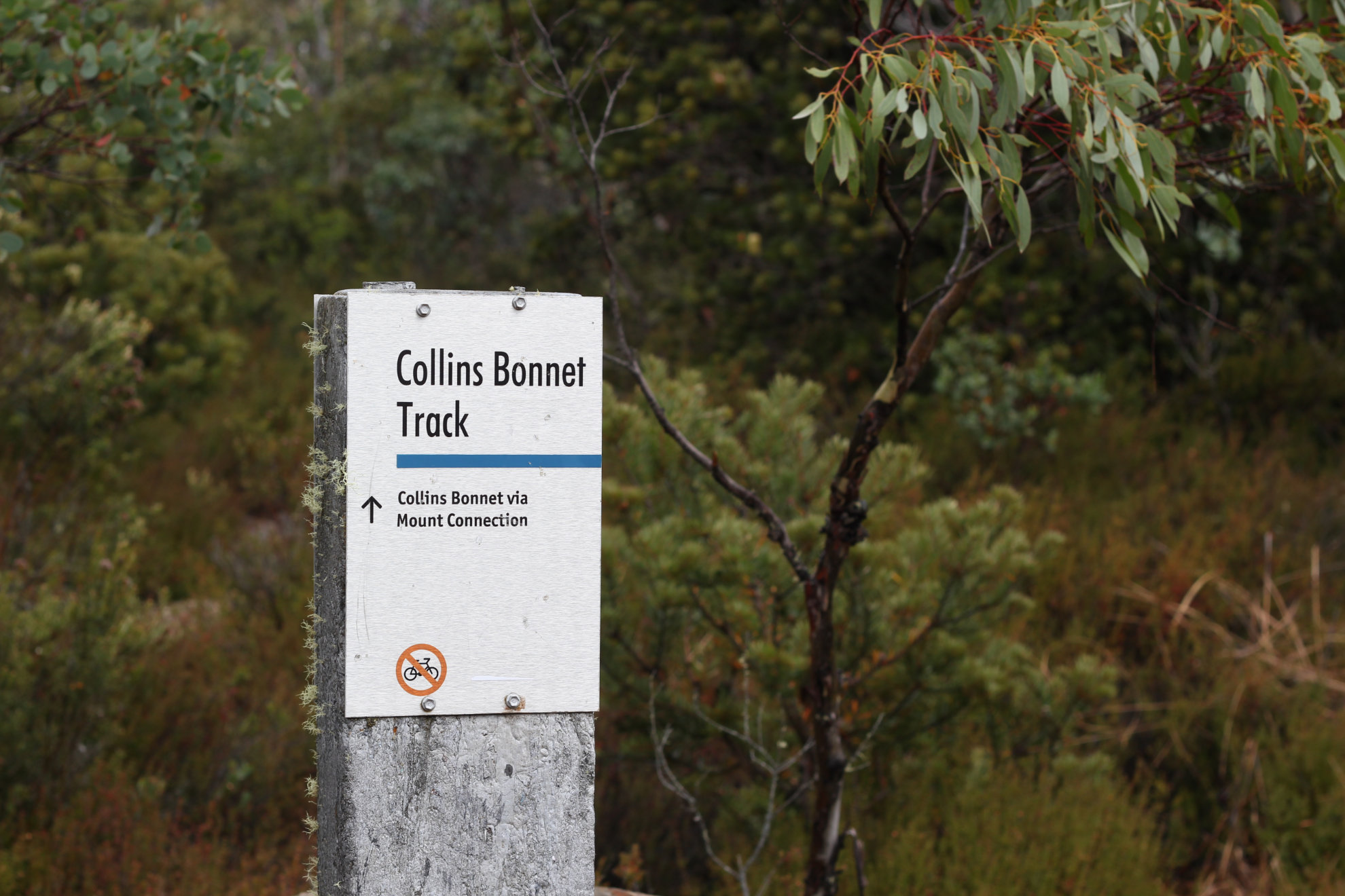 A sign saying Collins Bonnet Track