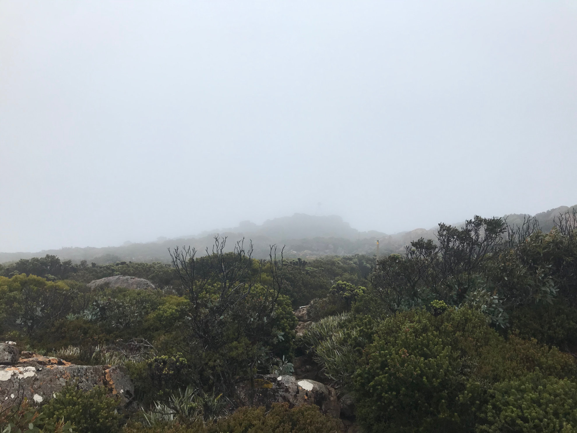 A view across bushland, with lots of cloud obscuring a mountain.