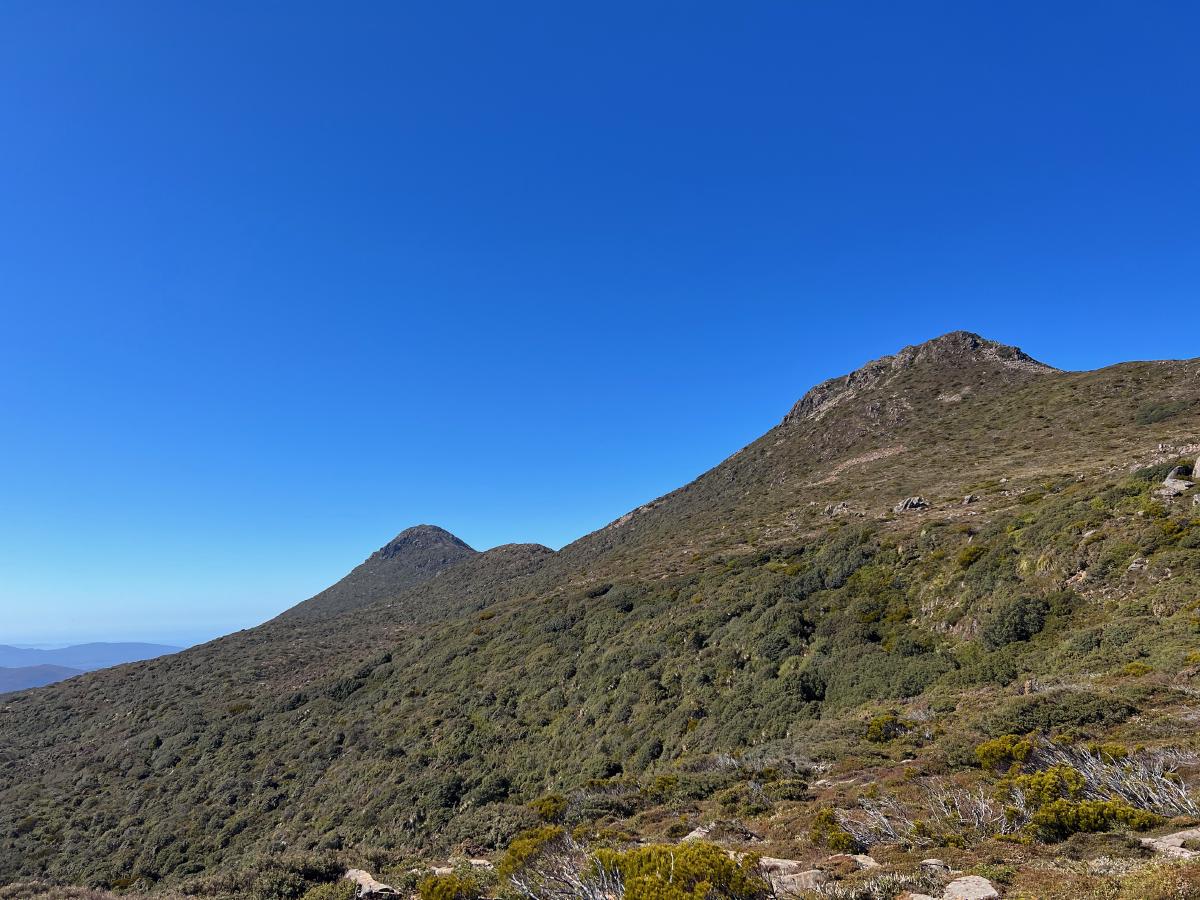 Hartz Peak and Mount Snowy