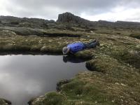 A man lying on the ground, drinking from a waterhole