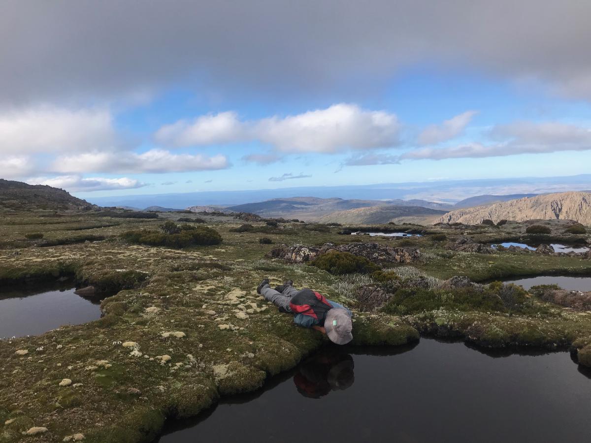 A man lying on the ground, drinking from a waterhole