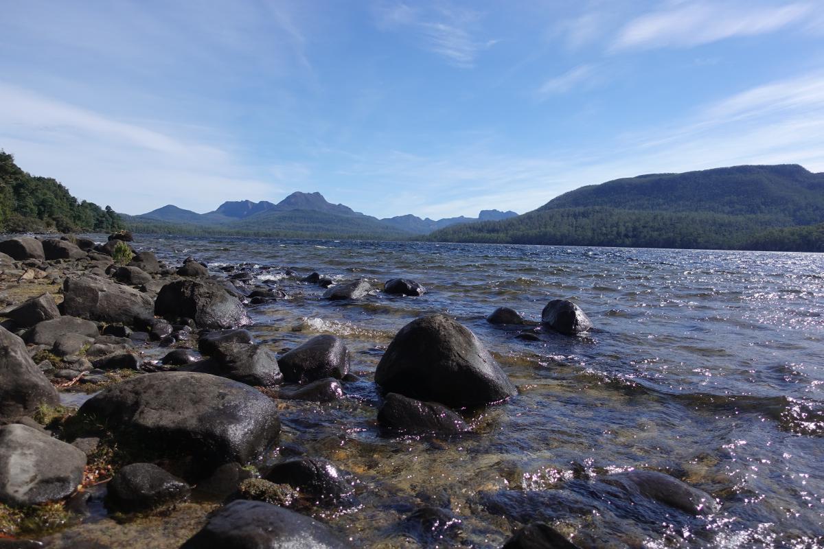 Lake St Clair, with Mt Gould in the background