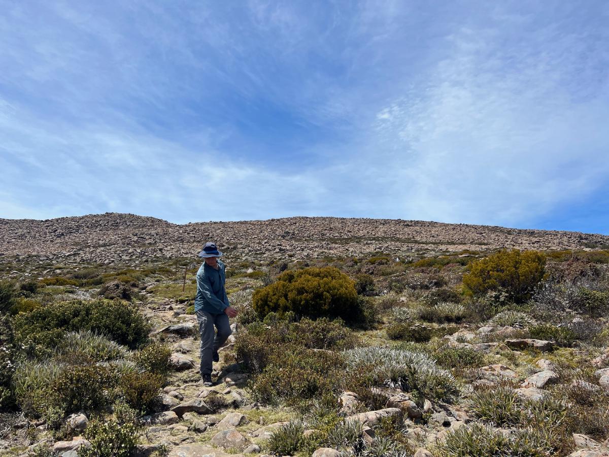 A man in a green shirt nearly falling over