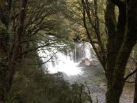 A waterfall taken through the trees