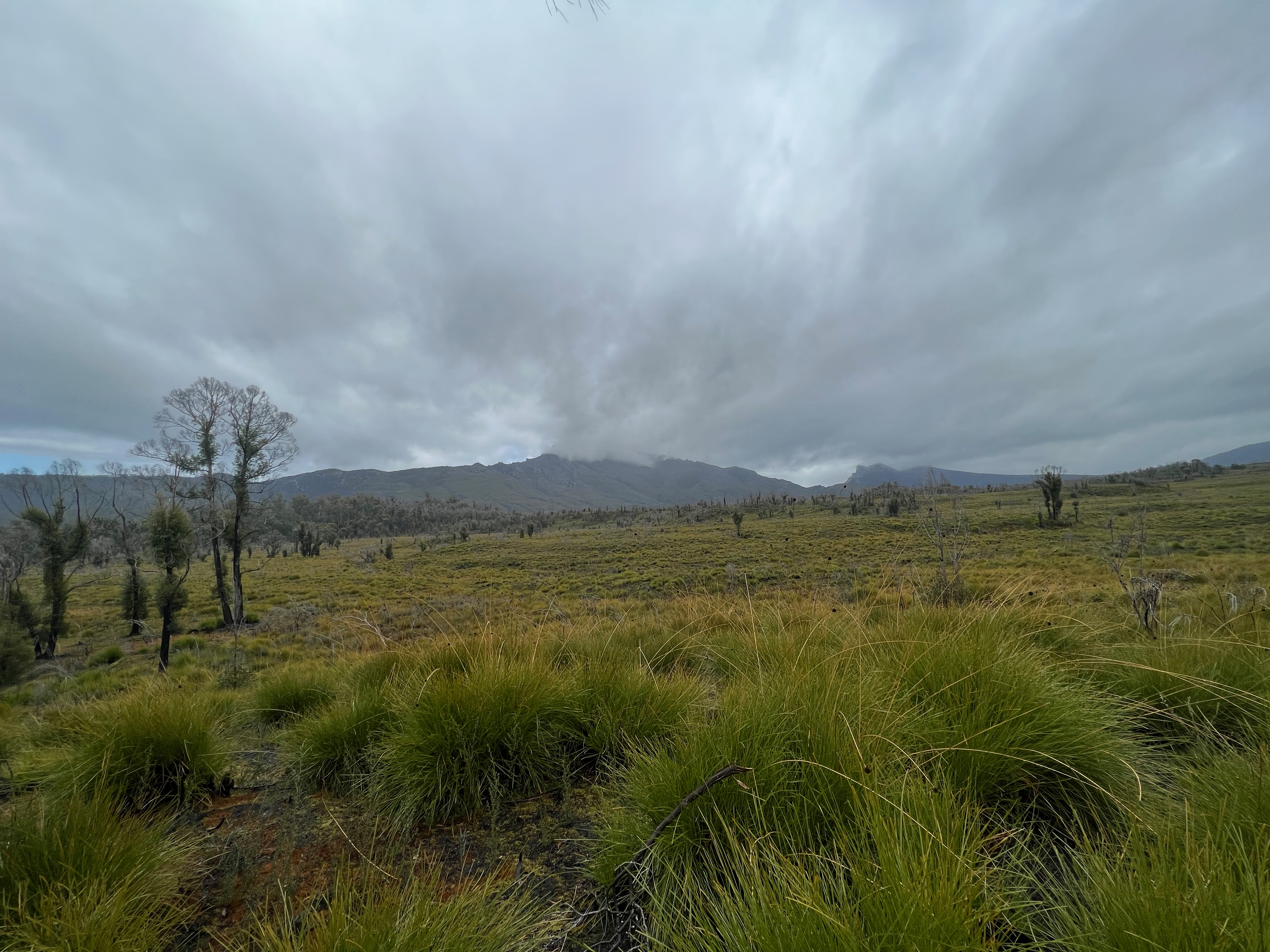 Grassy plains with a mountain in the background, covered with cloud