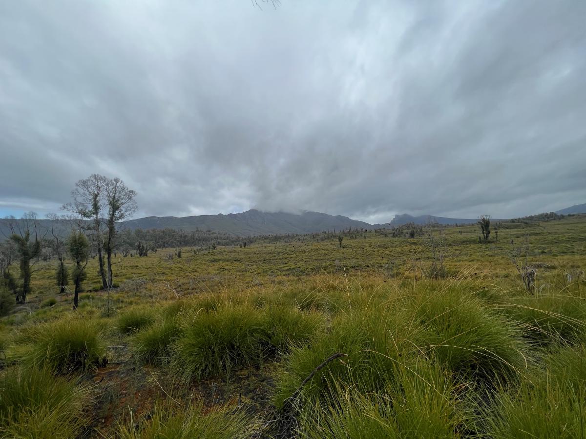 Grassy plains with a mountain in the background, covered with cloud