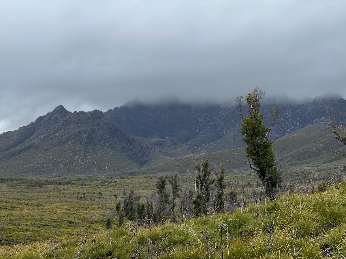 A picture of The Thumbs, covered in cloud.