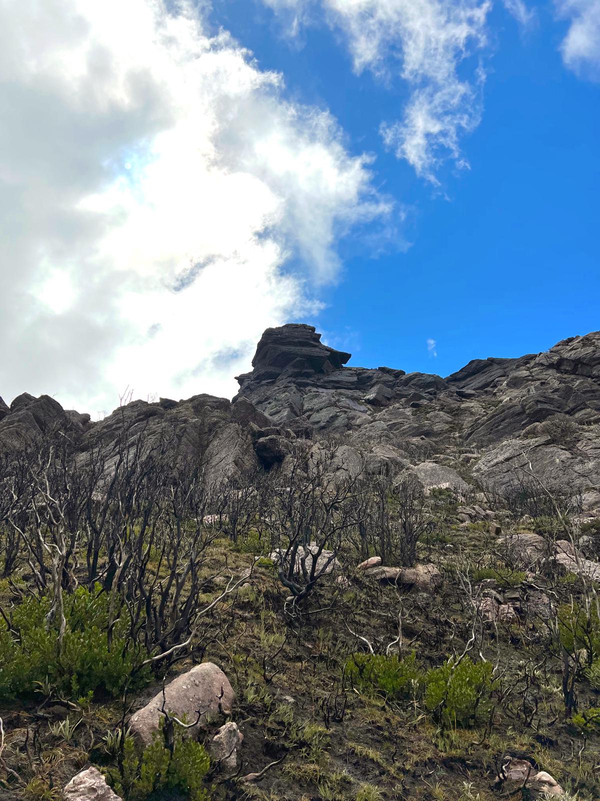 A close up picture of the thumbs, with a blue and cloudy sky